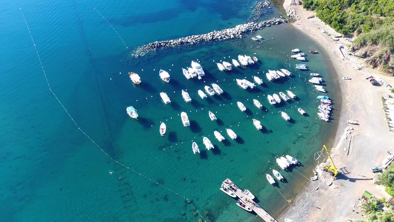 Camping Lacona Capoliveri  Exterior foto